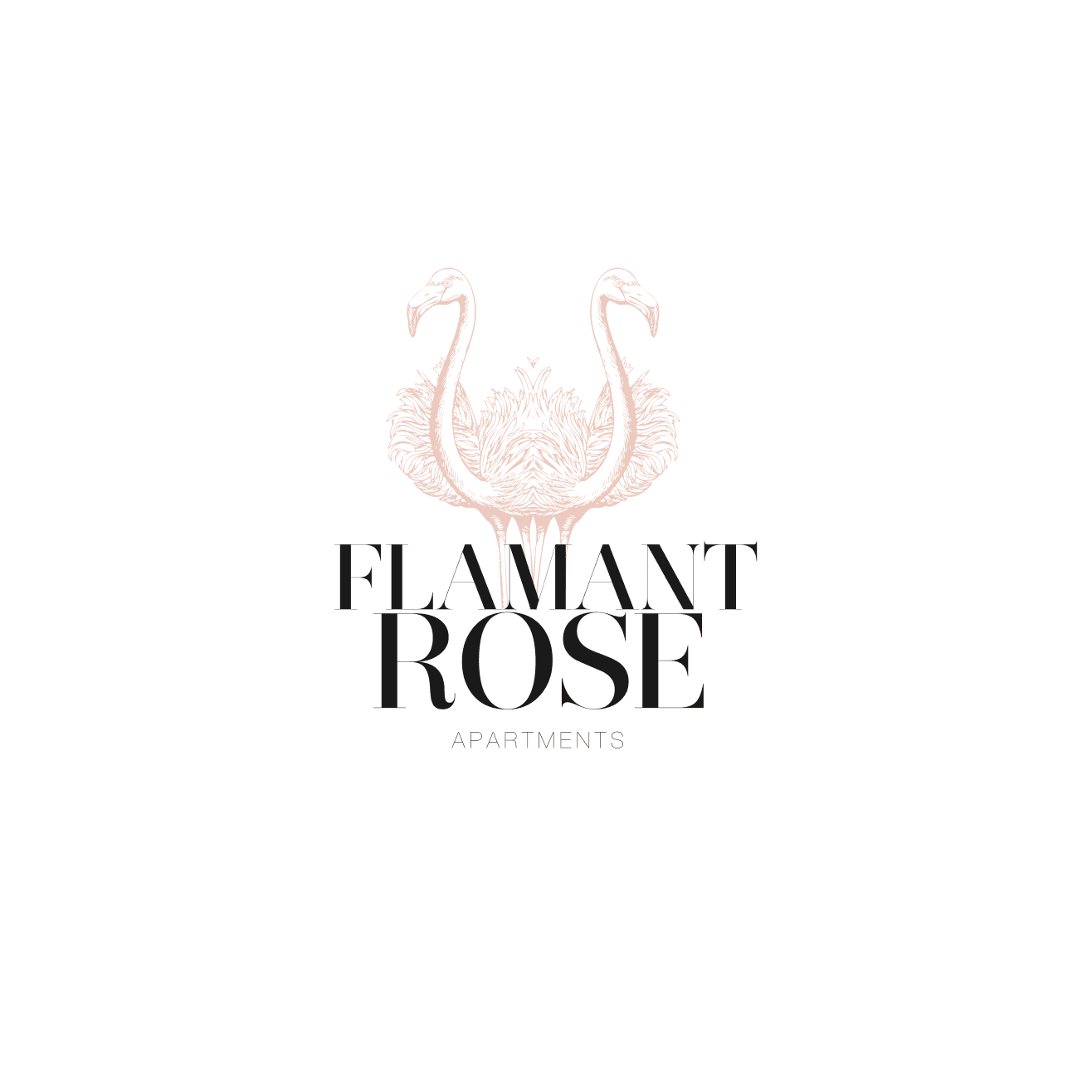 Flamant Rose